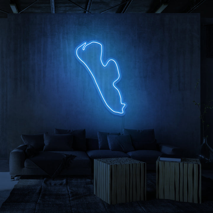 LETRERO DE NEÓN "FANØ"